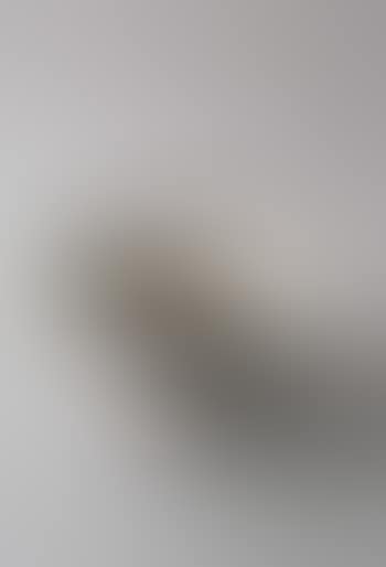 Bowl with oval lip (preview)