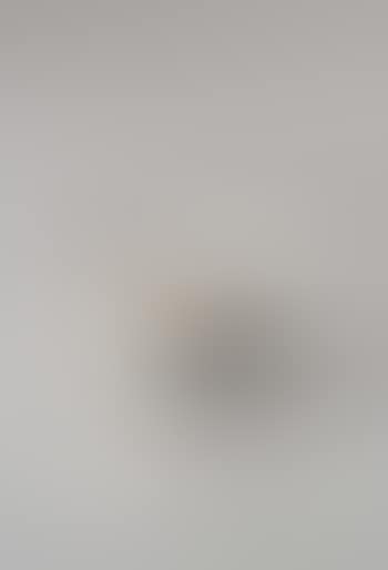 Rare bowl (preview)