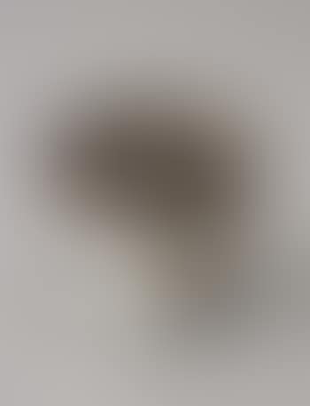 Small bowl (preview)