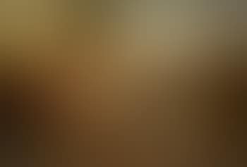 Autumn morning (preview)