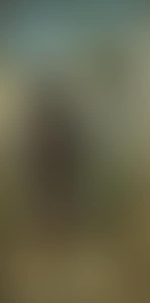 Untitled (preview)
