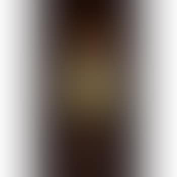 A Marqueterie-sur-verre Vase Parlant (preview)