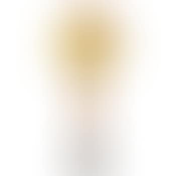 A Lamp And Shade (preview)