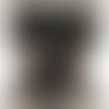 Chatoiement: A Tapestry (preview)