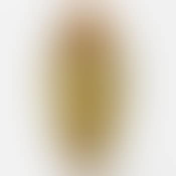 Vase (preview)