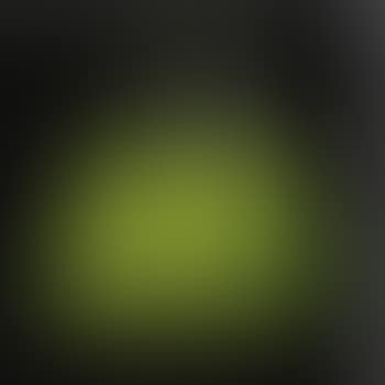 An Early And Rare Lantern (preview)