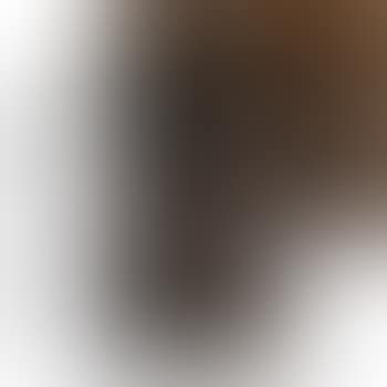 A Rare Two-handled Vase (preview)