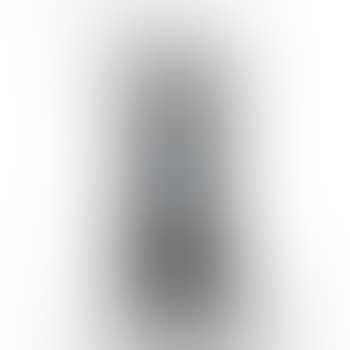 Vase (preview)