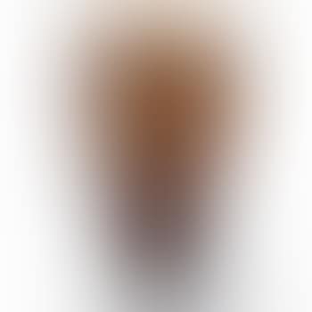Vase by Louis Majorelle (preview)