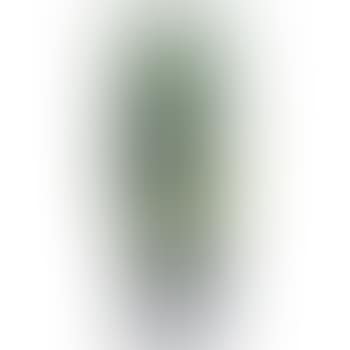 Prunus Vase (preview)