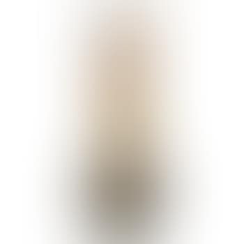 Vase (preview)
