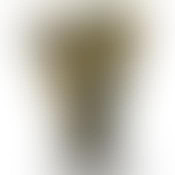 Vase (preview)