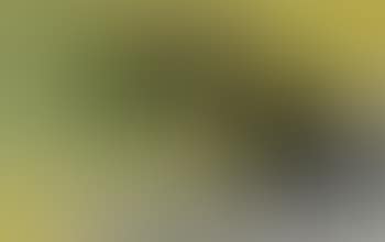 Abstract green (preview)