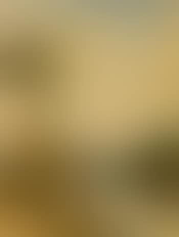 River landscape (preview)
