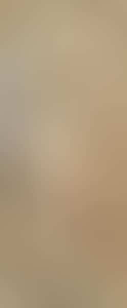 Allegorie auf das Licht. (preview)