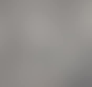 Empfang bei Hofe. (preview)