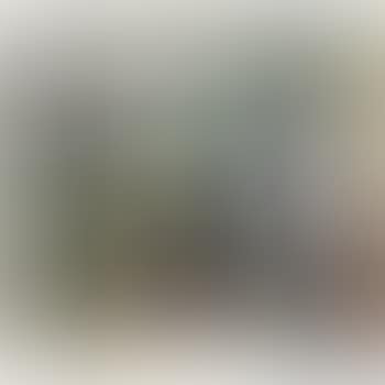 Figura All'interno Dello Studio (preview)