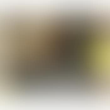 Sans Titre (preview)