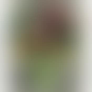 Vase Of Flowers (preview)