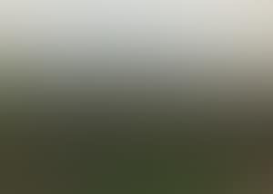 Landschap - Paysage (preview)