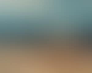 Oogst (preview)