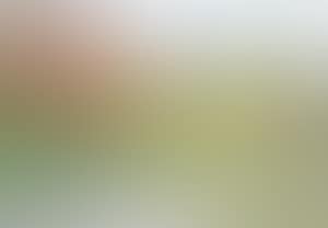 Witte hoeve met blauwe luiken (preview)