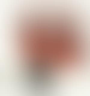 Partition (preview)