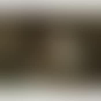 The Lute Player (preview)