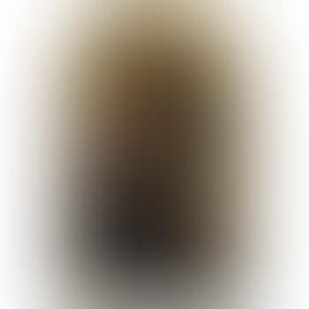 Pietá (preview)