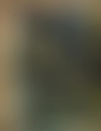 Head (preview)