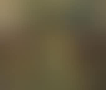 A Jockey in Yellow Unsaddling a Dark Bay Horse (preview)