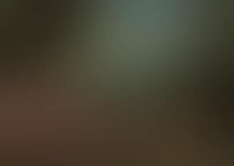 An Allegory of Autumn (preview)
