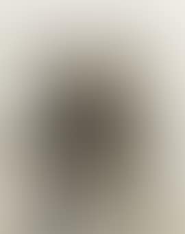Untitled (Palm trees) (preview)