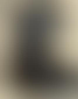 Untitled (Palm Trees) (preview)