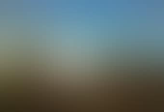 Water Buffalo and a herder in an extensive river landscape, a mountain range beyond, possibly South America (preview)
