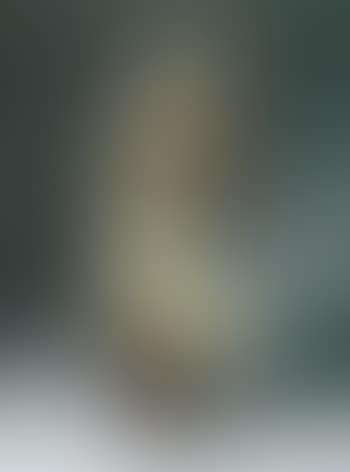 Madonna mit Kind (preview)