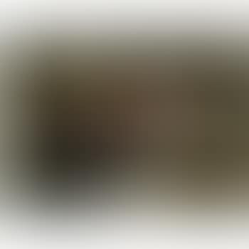 Fleurs Dans Un Pot De Porcelaine Blanche (preview)