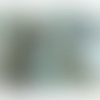 Trois Oiseaux (preview)