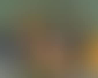 Paysage (preview)