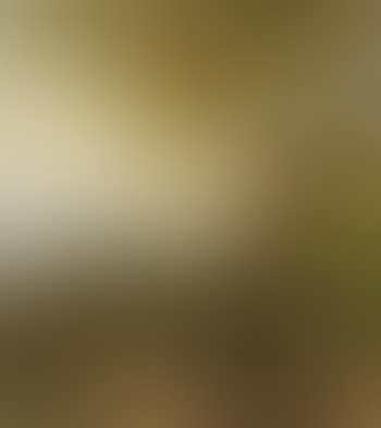 Landschaft mit jungem Paar (preview)