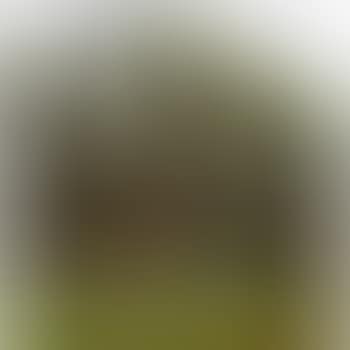 Arbres (preview)