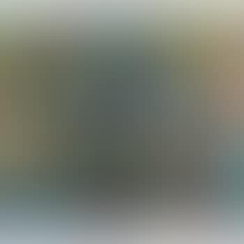 Die Kartenspieler (preview)
