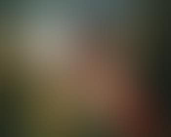 Die funf Sinne (preview)