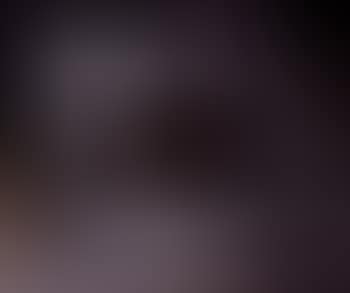 Nature morte aux figues (preview)