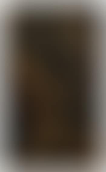Chevreuil mort (preview)