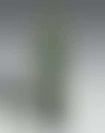 Pomone drapée (preview)