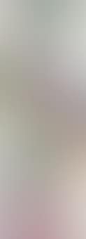 Untitled (SFP86-54) (preview)