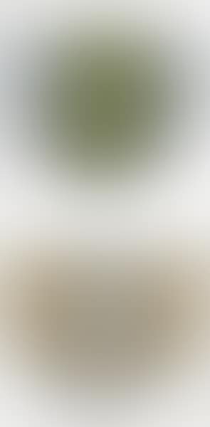 Two works:  Untitled (preview)