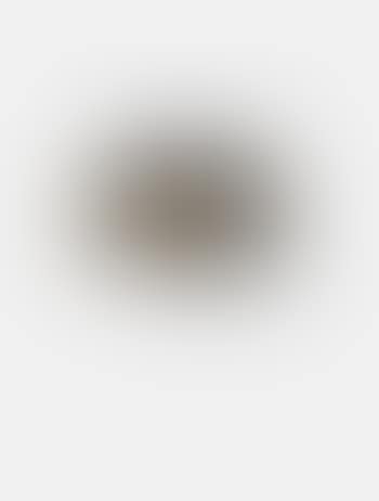 Ohne Titel (Kuhe) (preview)