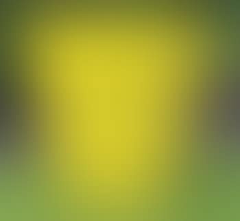 Pot jaune (preview)